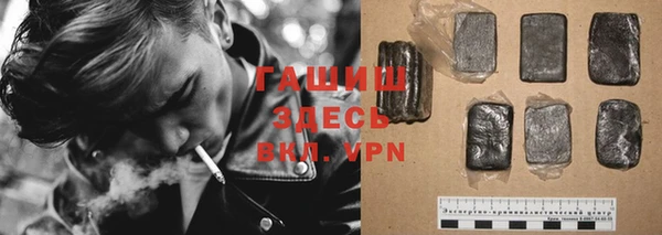 сатива Новозыбков