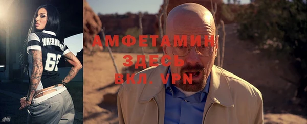 сатива Новозыбков