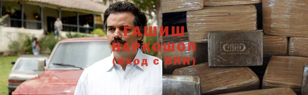 сатива Новозыбков