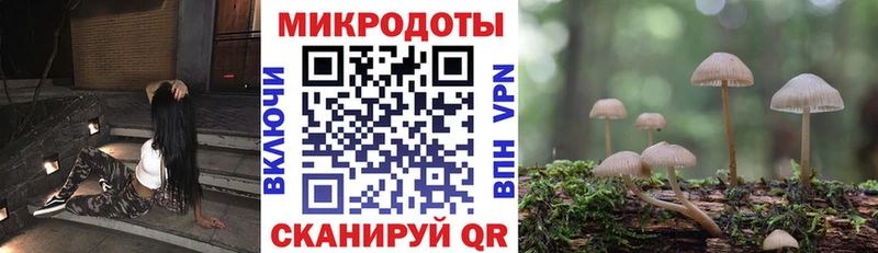 Галлюциногенные грибы Cubensis  Купить закладки  Цоци-Юрт 