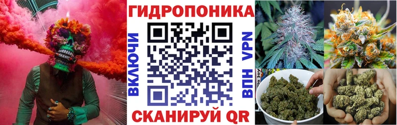 МАРИХУАНА VHQ  Купить закладки  Цоци-Юрт 